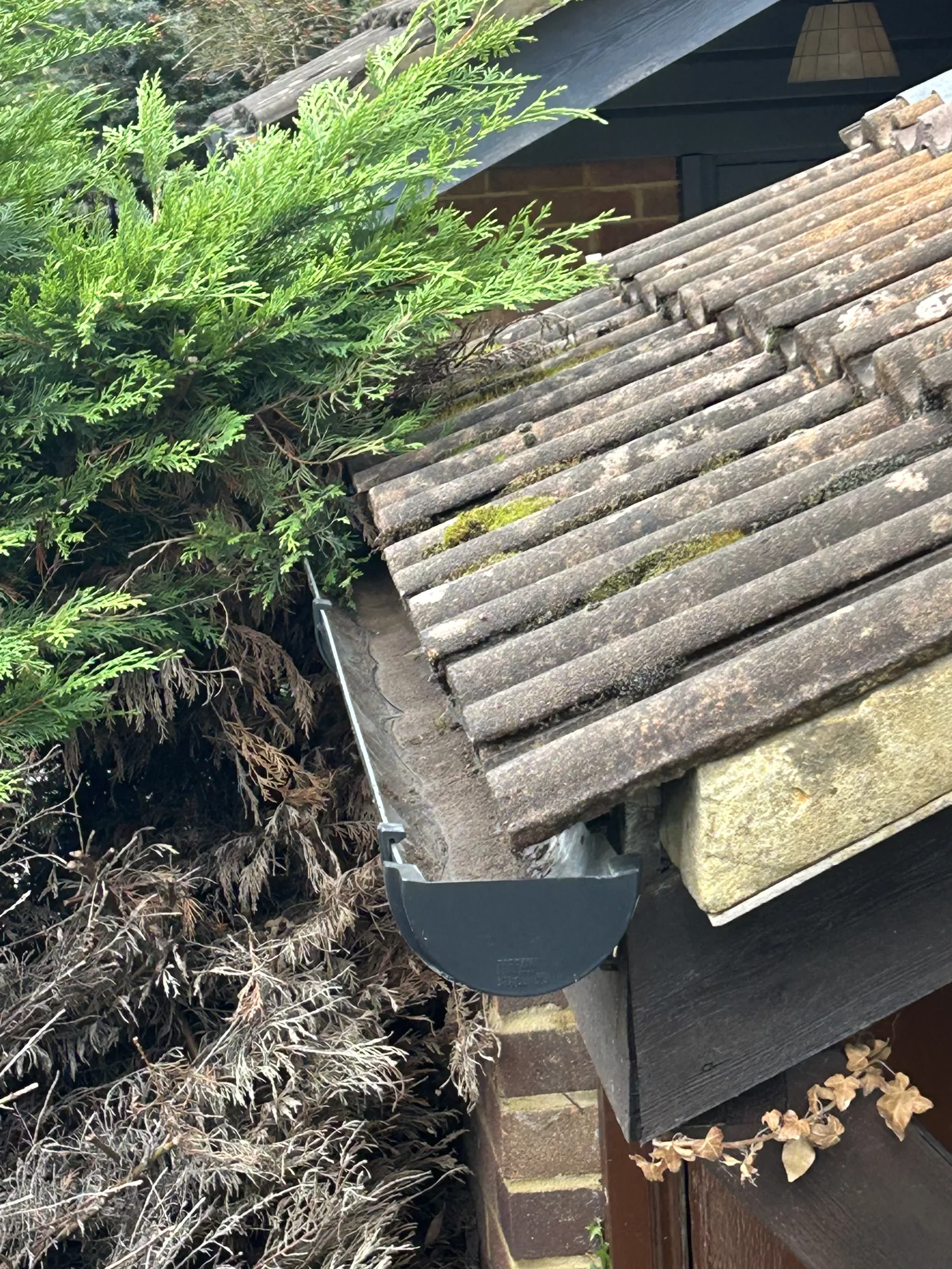 Moss covered roof edge and grey gutter before clearing on a home in Rickmansworth